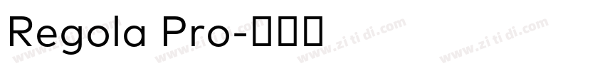 Regola Pro字体转换